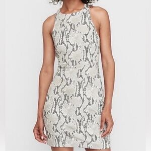 Express Gray Snakeskin Print High Neck Open Back Mini Dress Size XS
